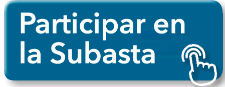 Icono Participar en la Subasta